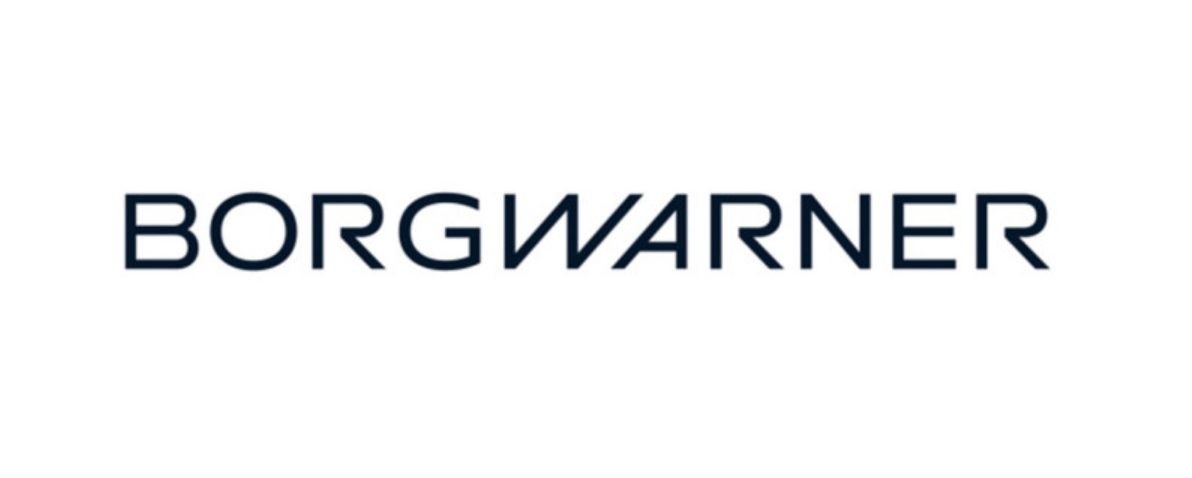 BorgWarner DS2028049 Servicekomponente für FXD GenV und GenVI