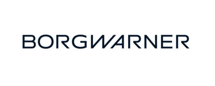 BorgWarner DS2028049 Servicekomponente für FXD GenV und GenVI